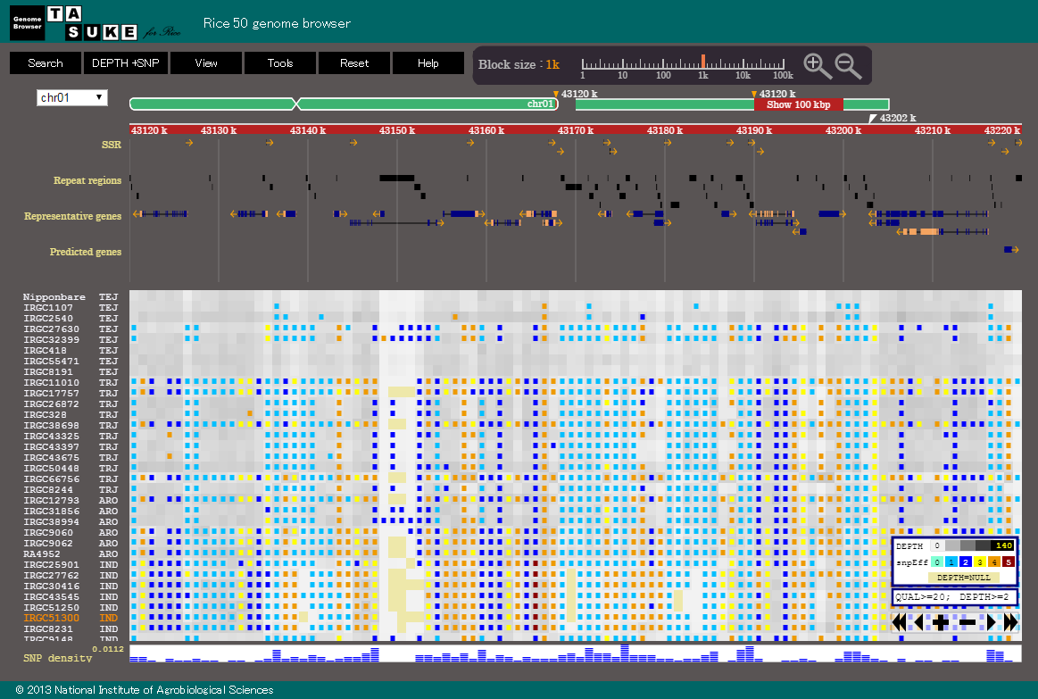 Screenshot_of_TASUKE_multiple_genome_browser